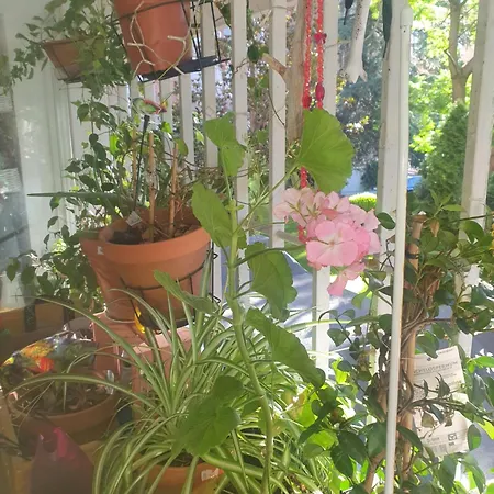 Libros Y Plantas A 5 Minutos Del Centro En Bus Apartment Madrid Exterior photo