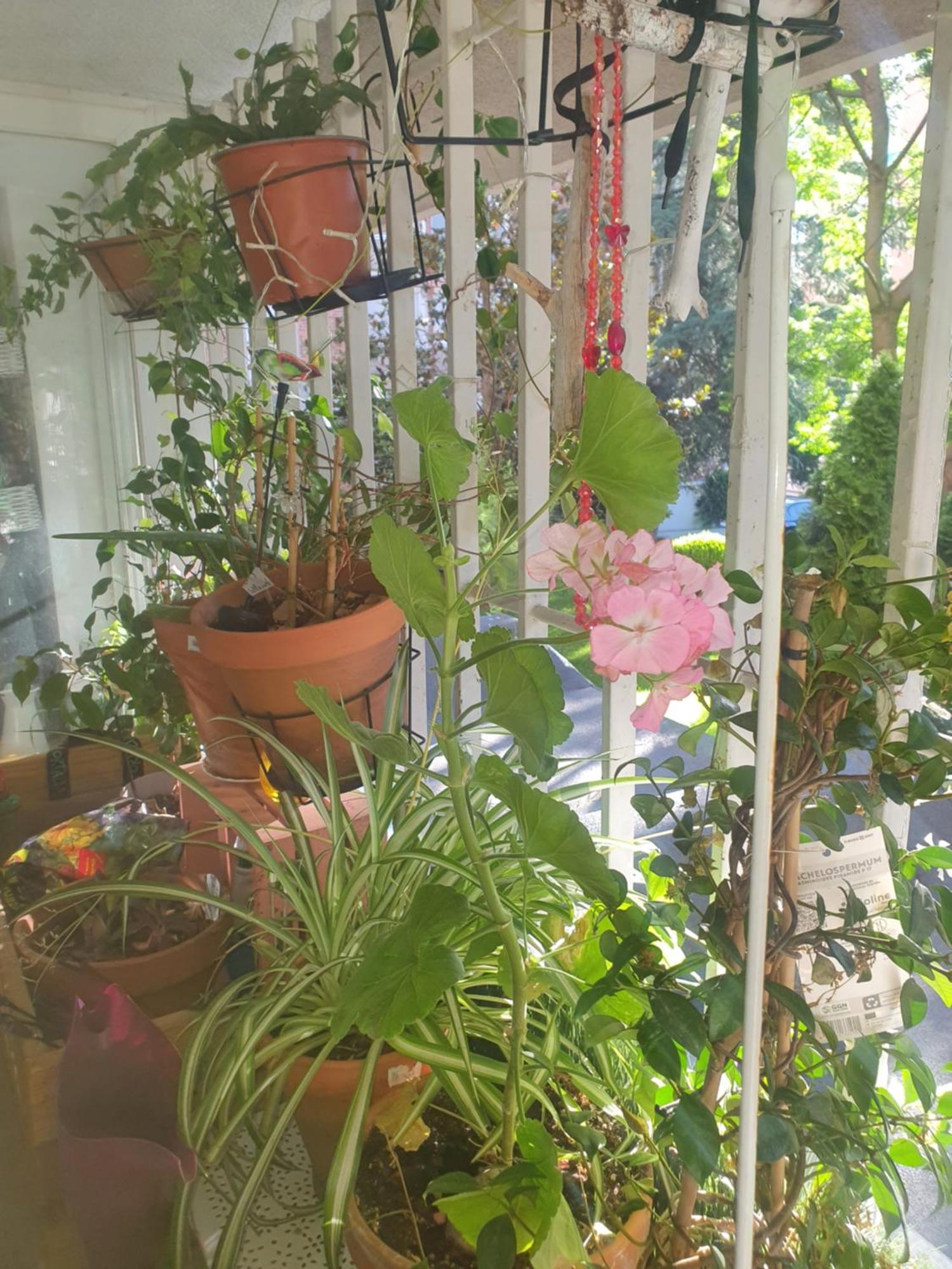 Libros Y Plantas A 5 Minutos Del Centro En Bus Apartament Madryt